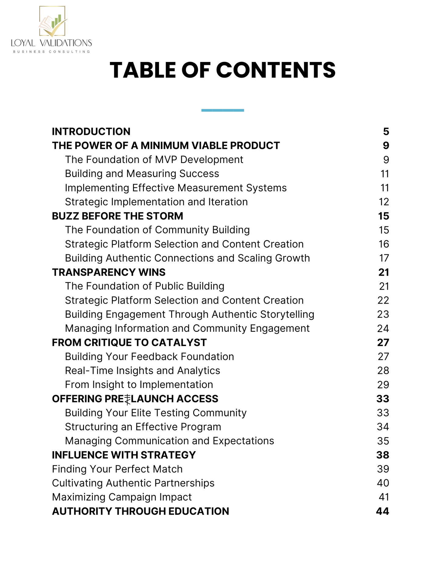 Online Business Launching Strategies E-Book