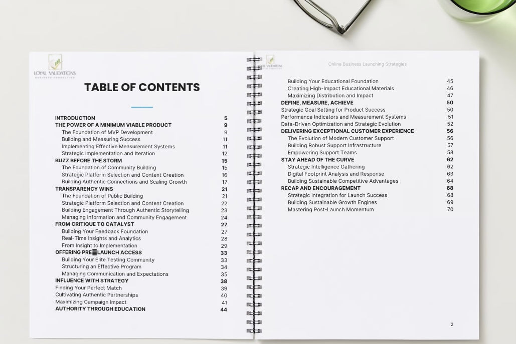 Online Business Launching Strategies E-Book